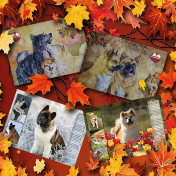 Akita / American Akita Calendar 2026